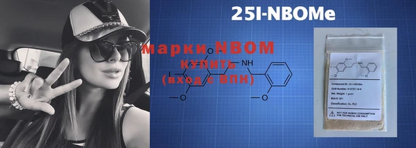 прущий лед Бородино