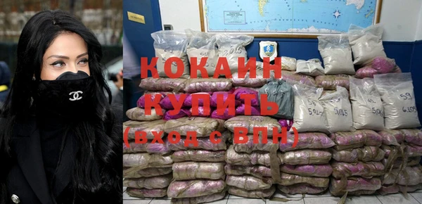 прущий лед Бородино