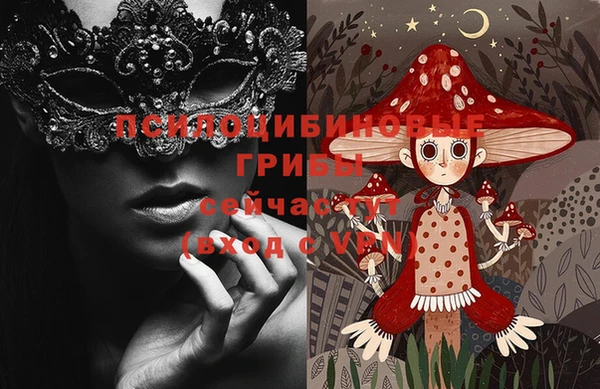 прущий лед Бородино