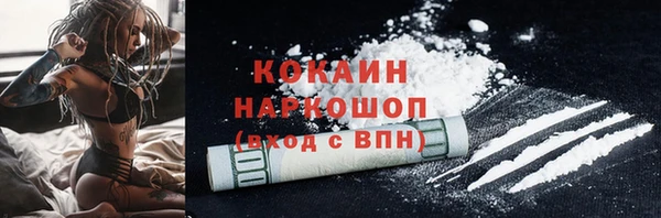 прущий лед Бородино