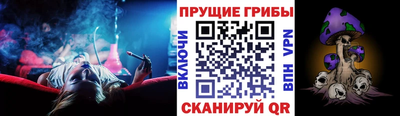 цены наркотик  МЕГА ССЫЛКА  Галлюциногенные грибы прущие грибы  Каменка 
