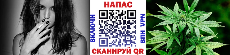 дарнет шоп  Каменка  Бошки Шишки гибрид 